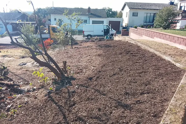 Fertig mit Rindenmulch aufgefüllte Fläche nach dem Entfernen der Lorbeerhecke